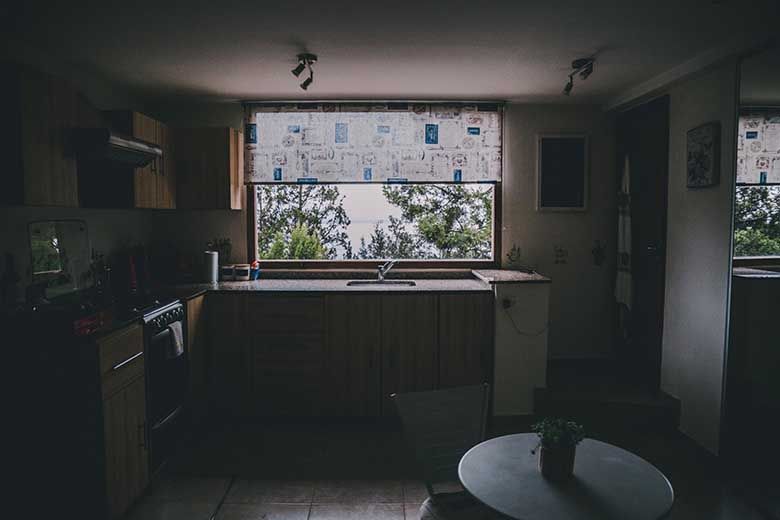 Pre-purchase inspections uncover kitchen pests