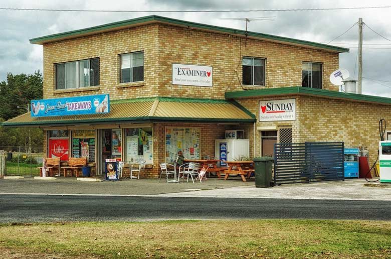 Commercial pest control protects businesses