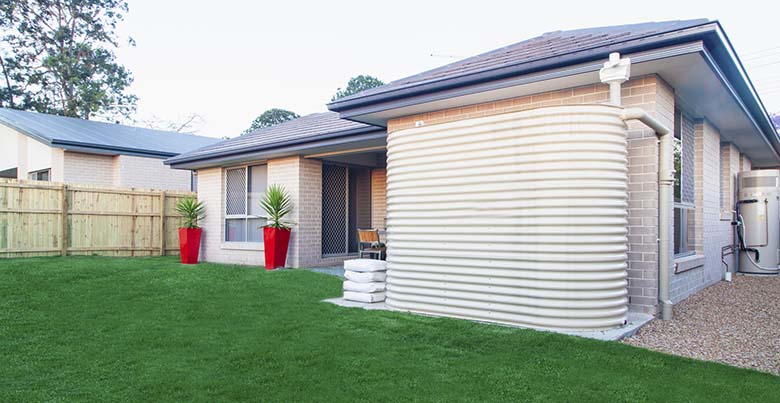 Schedule termite management check-ups