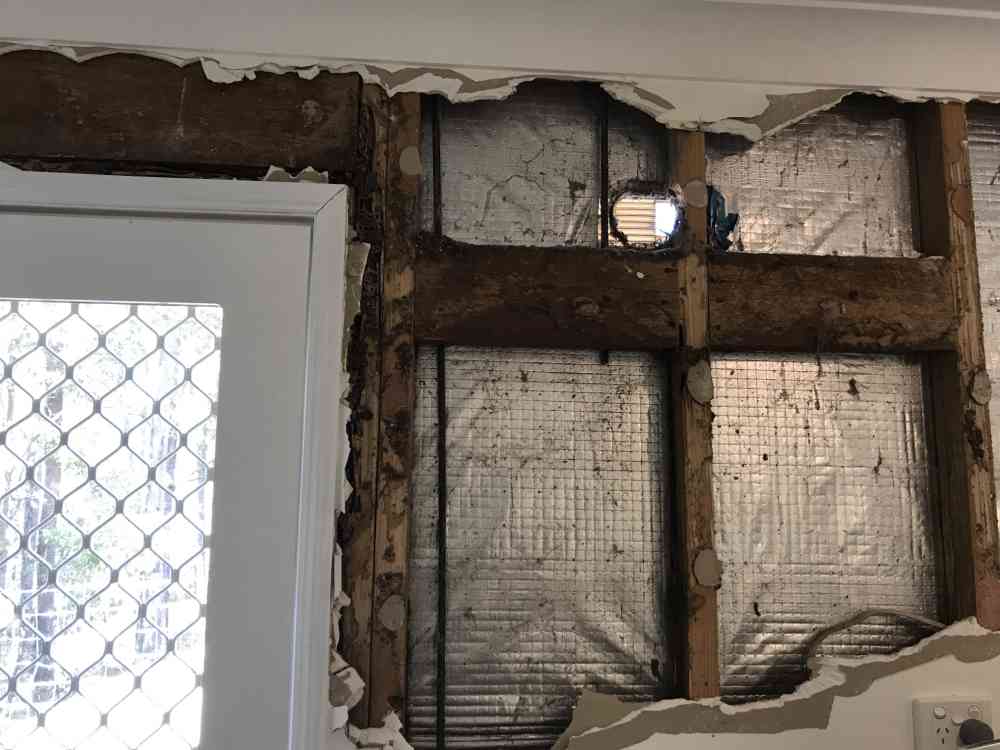 Termite damage to the laundry wall