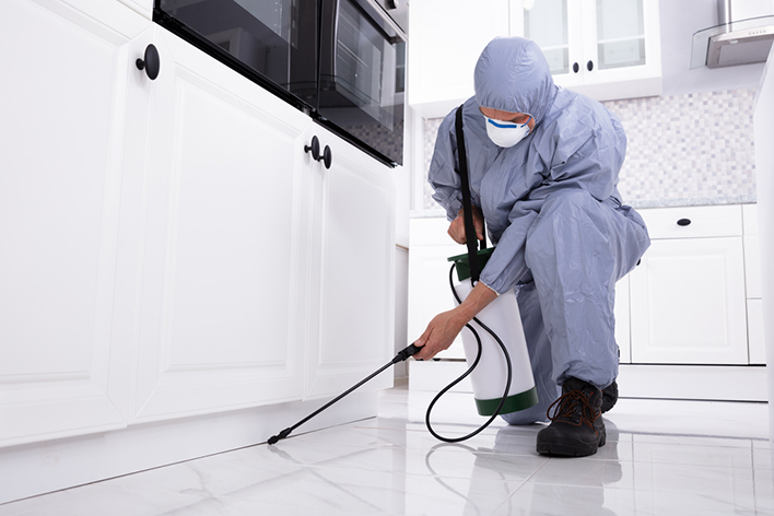 Suburban Pest Management pest inspector eliminating pests in Bribie Island home