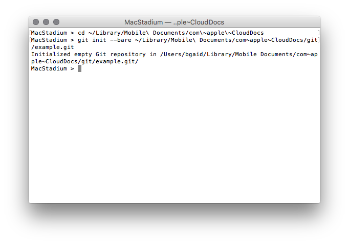 Git Terminal