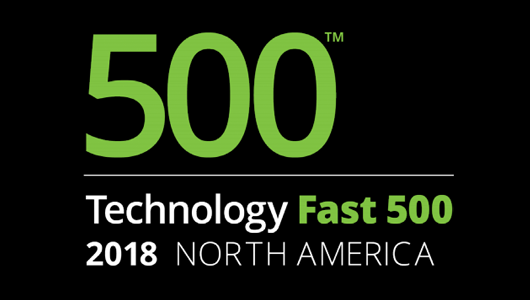 Deloitte Fast 500