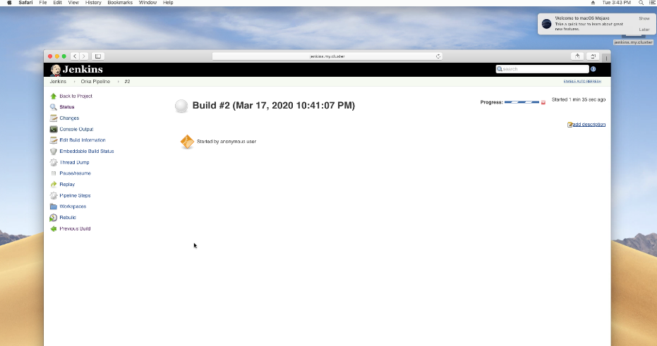 View build process in Jenkins