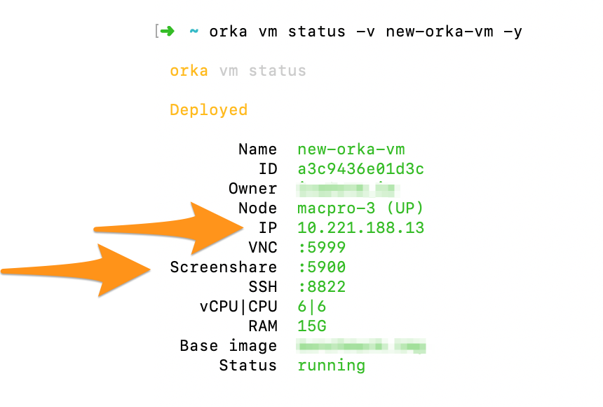 Orka CLI displaying VNC and Screenshare details