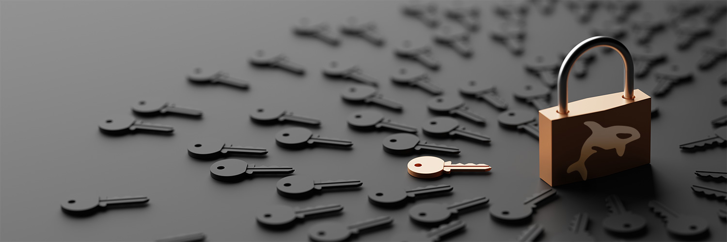 Lock with Orka logo surrounded by keys