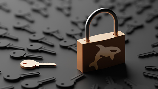 Lock with Orka logo surrounded by keys