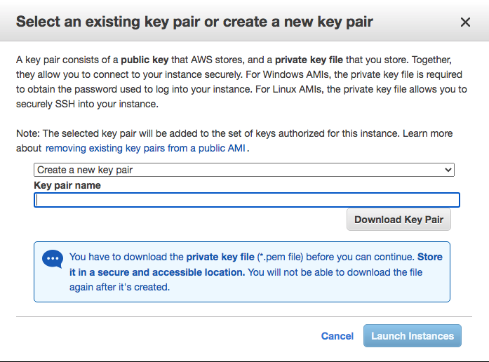 Screenshot of AWS naming key pair page