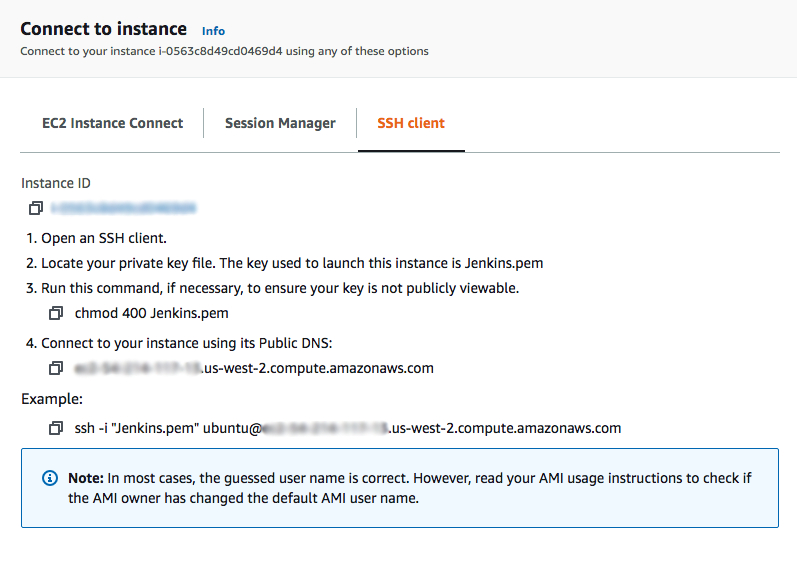 Screen shot of AWS EC2 "Connect to instance" page