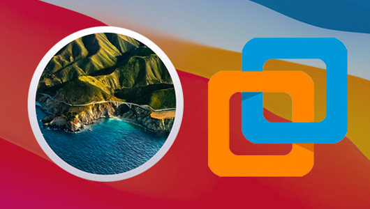 Big Sur and ESXi