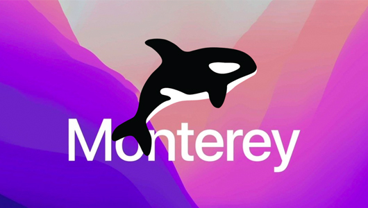 Monterey for Orka