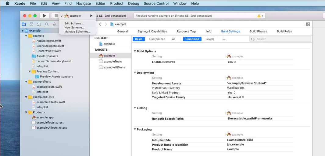 Xcode build settings