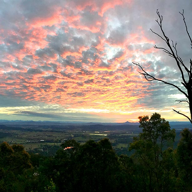 The Polish Place Mt Tamborine Restaurant, & Gallery