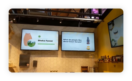 Interactive Intuiface Intuiface | Effortlessly Create Interactive Digital Content