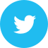 Book Publishing Infographic Twitter