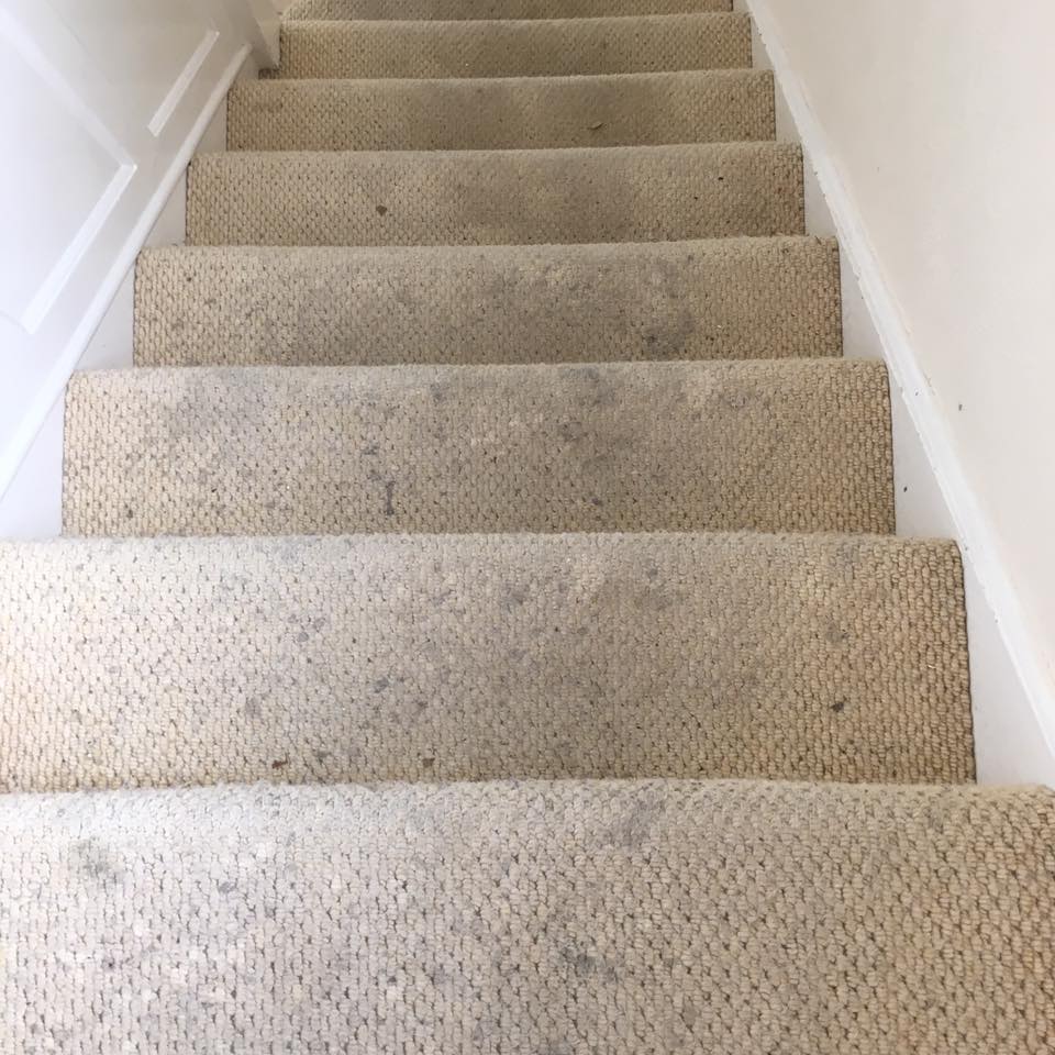 Commercial Carpet Cleaning in Tunbridge Wells NDC