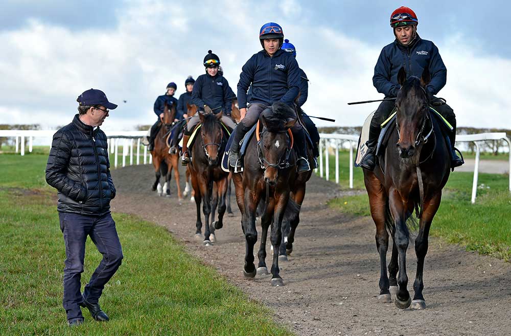 The Team Jamie Osborne Bespoke Racehorse Trainer