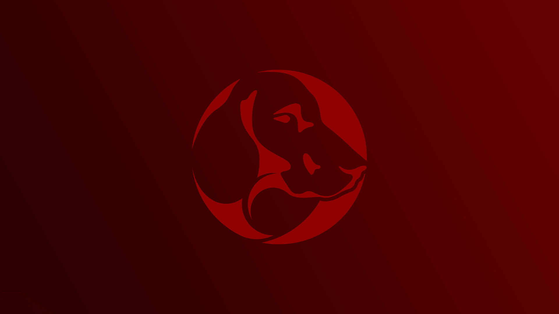 About Blue Fox Entertainment