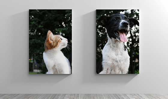 Picture of canvas wraps on wall