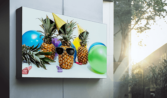 Picture of standout foam board