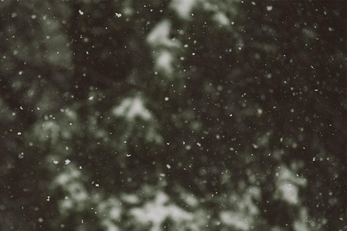 March Update - Blog Post