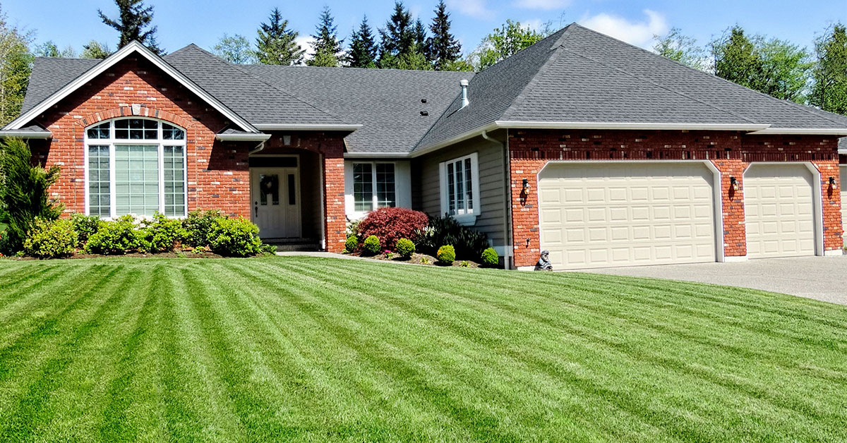 Sod Delivery & Installation