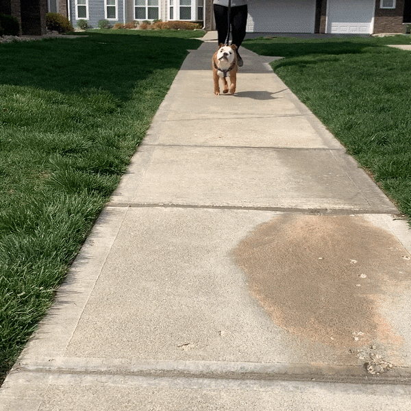 Happy On My Way GIF By Butler University