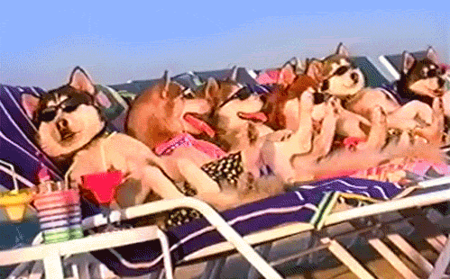 r and r fun GIF by Cheezburger