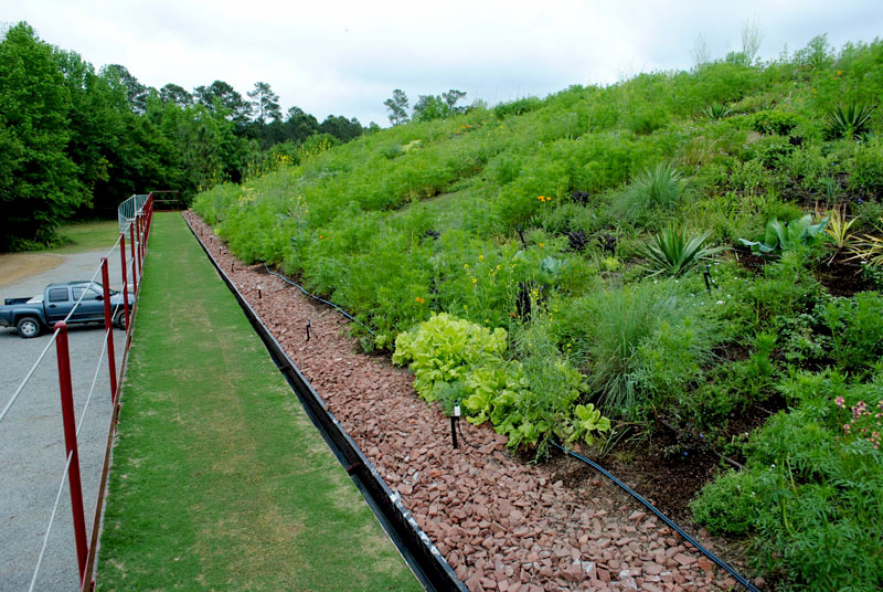 Moore Farms Botanical Garden commercial Living Roofs Inc.