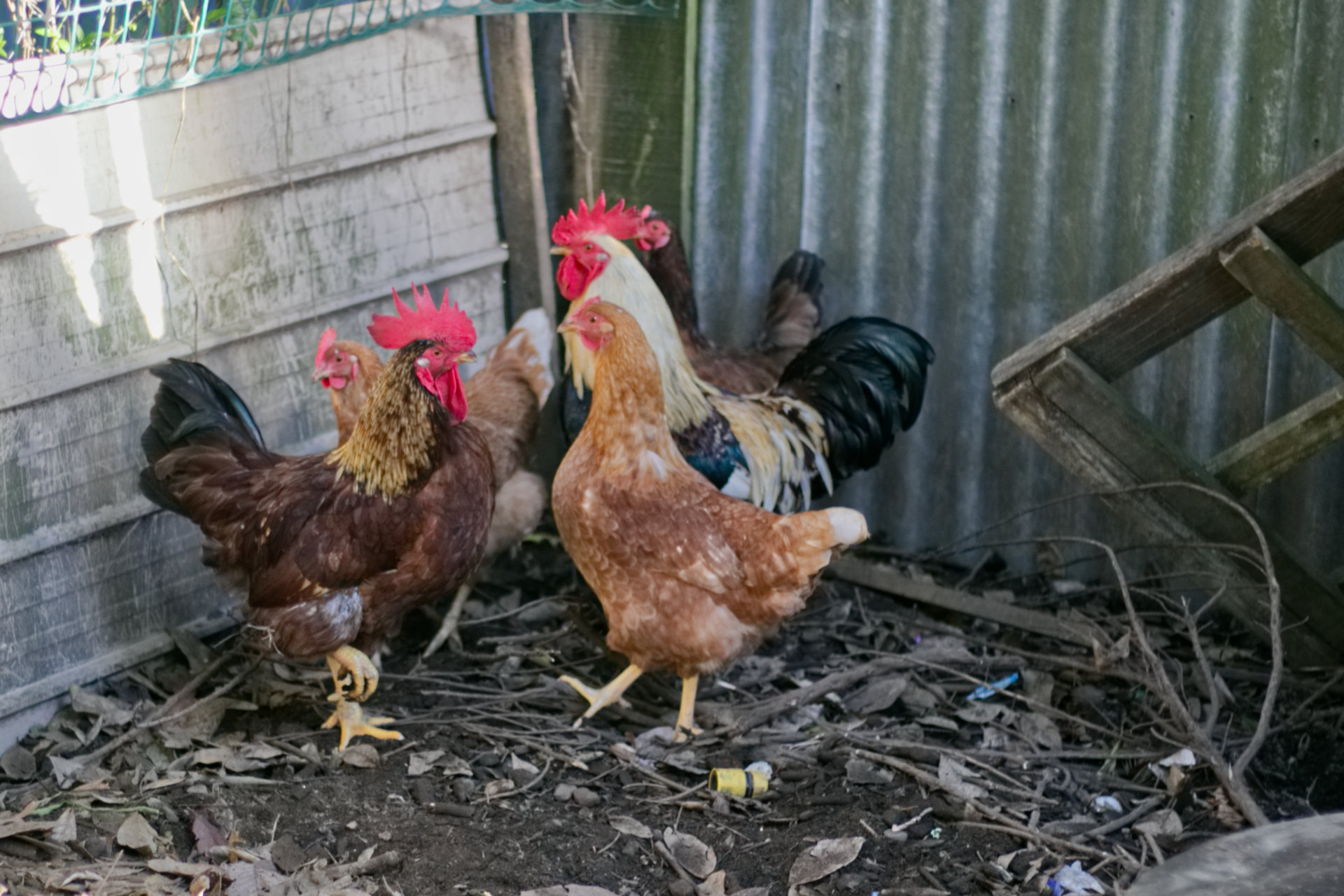 Take a look at our Bethlehem Daycare facility