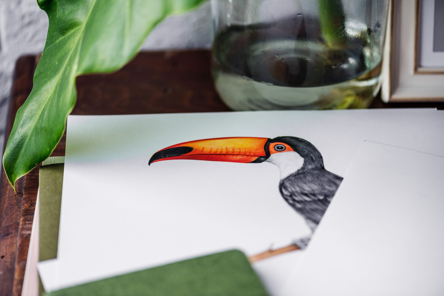 drawing of toucan