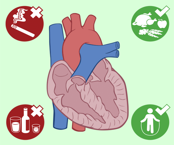 Heart Student Reading Pages The Partnership in Education