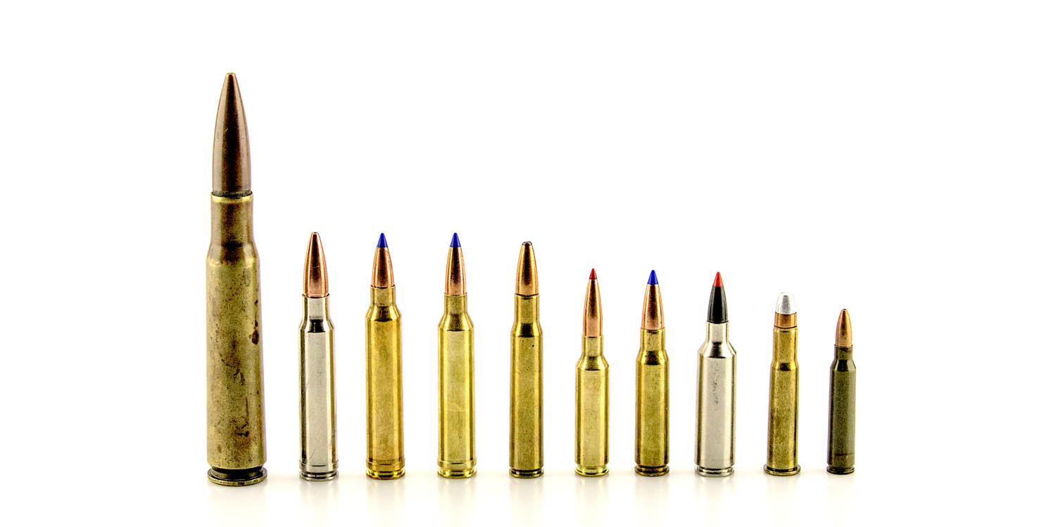 Long Range Shooting State regulations concerning the use of leadfree ammunition