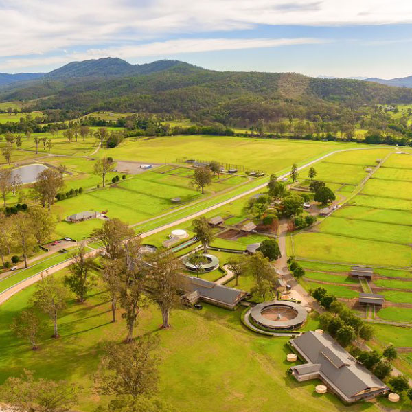 Aquis Farm - Canungra - 