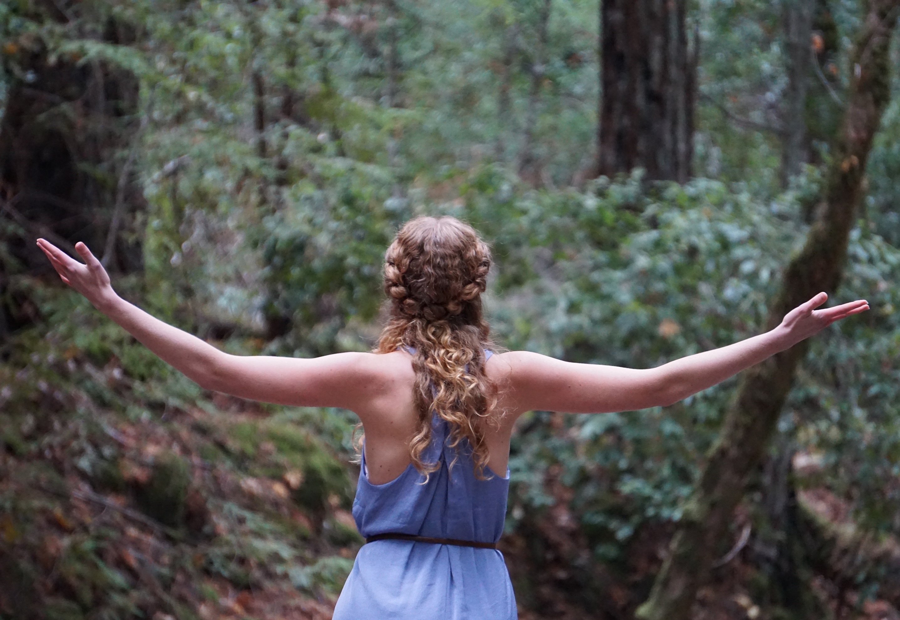 Nature And Forest Therapy Guide – NGAUS