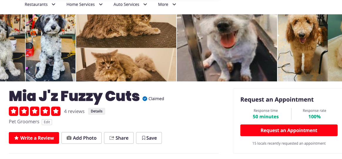 small business ideas: pet grooming, pet sitting