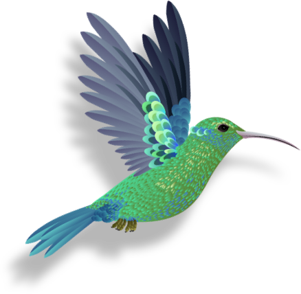A blue and green hummingbird