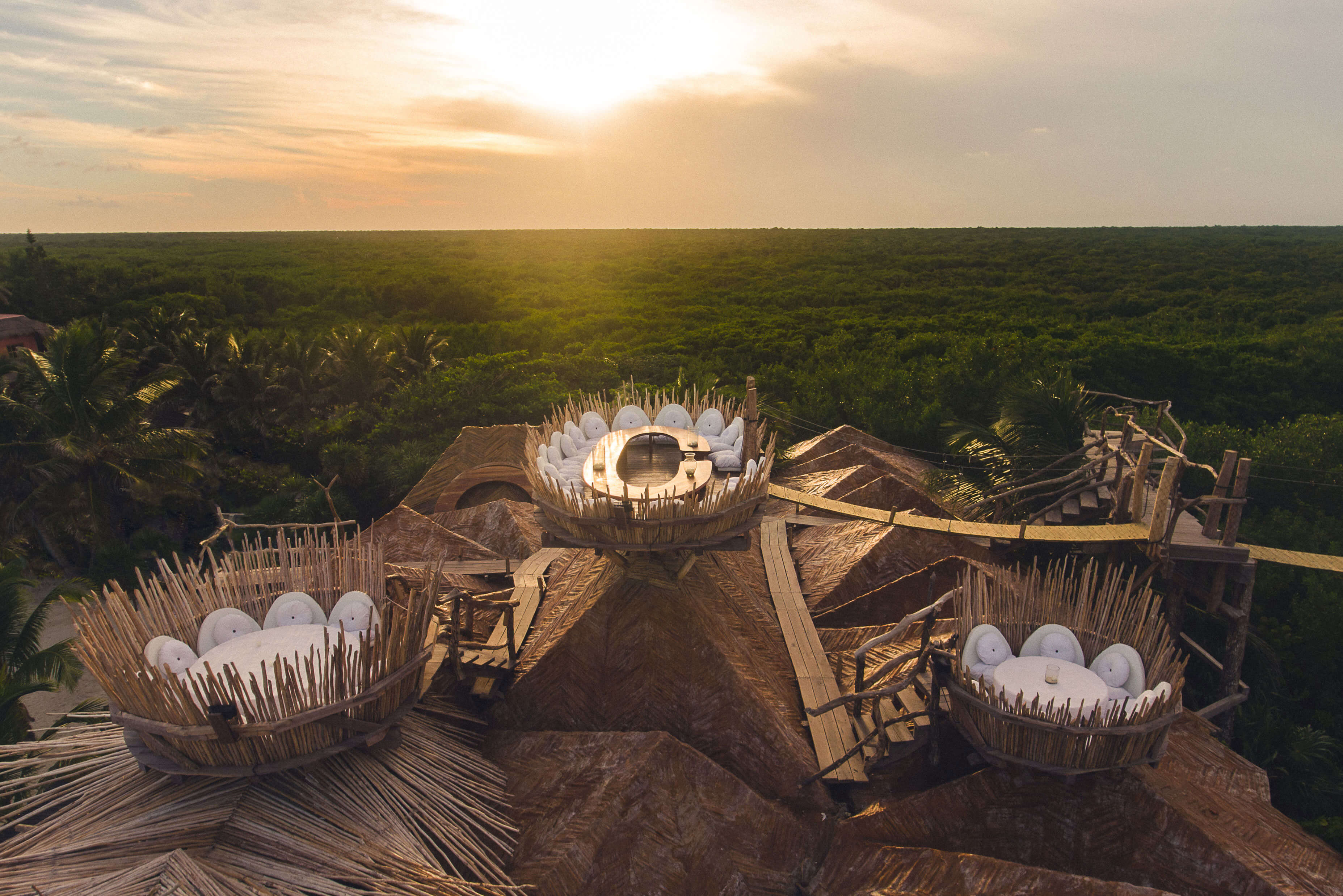 Tseen Ja JAPANESEMEXICAN FUSION CUISINE AZULIK Gastronomy