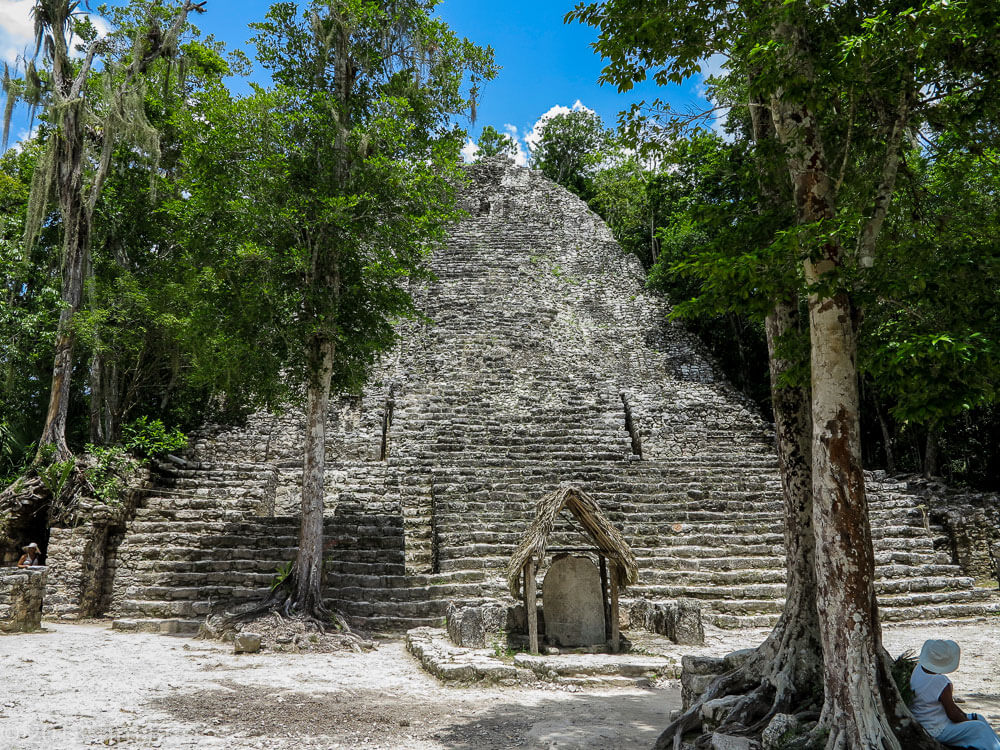 COBA WANDER