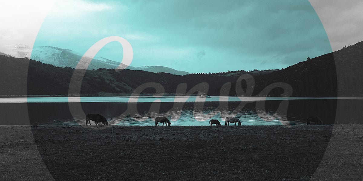 Canva logo design
