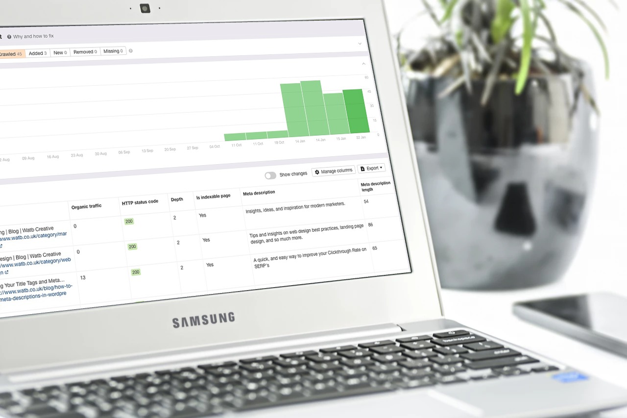 website audit on a laptop screen