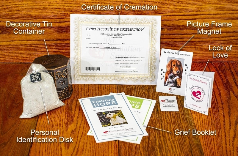 Pet Cremation Services