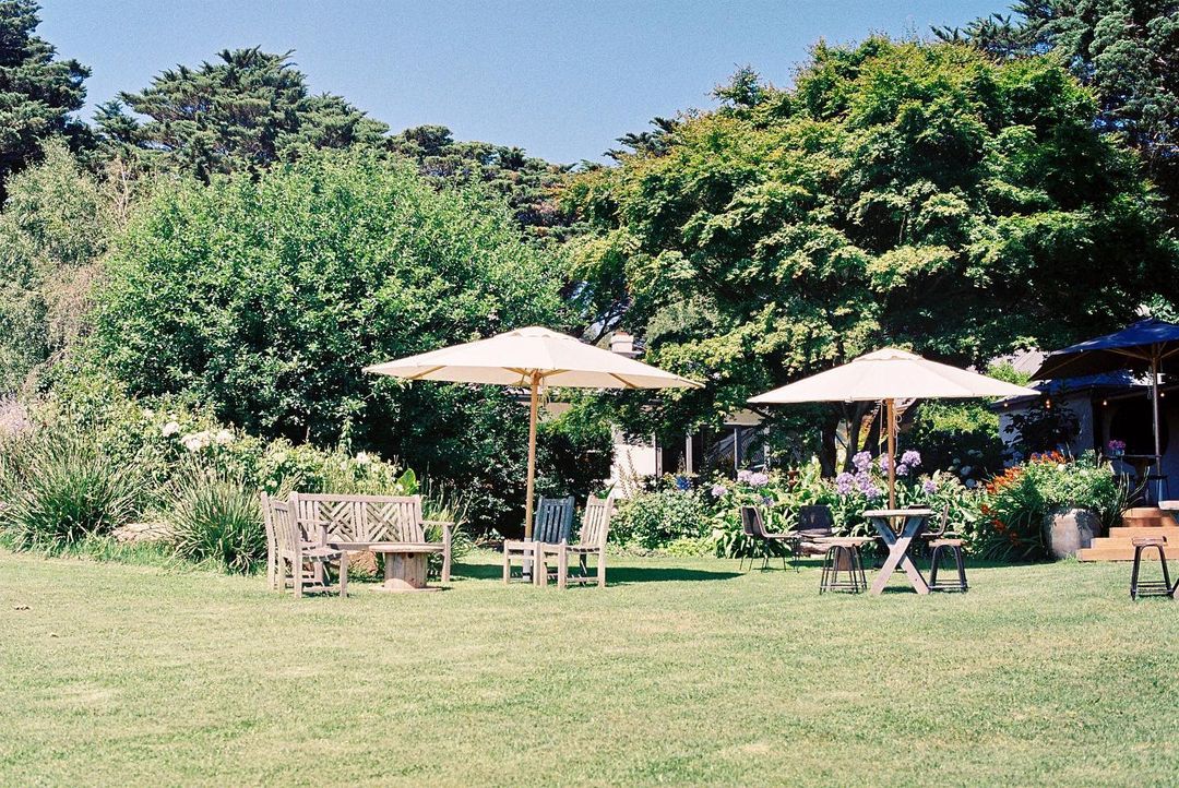 The Best KidFriendly Wineries on The Mornington Peninsula The Ninch