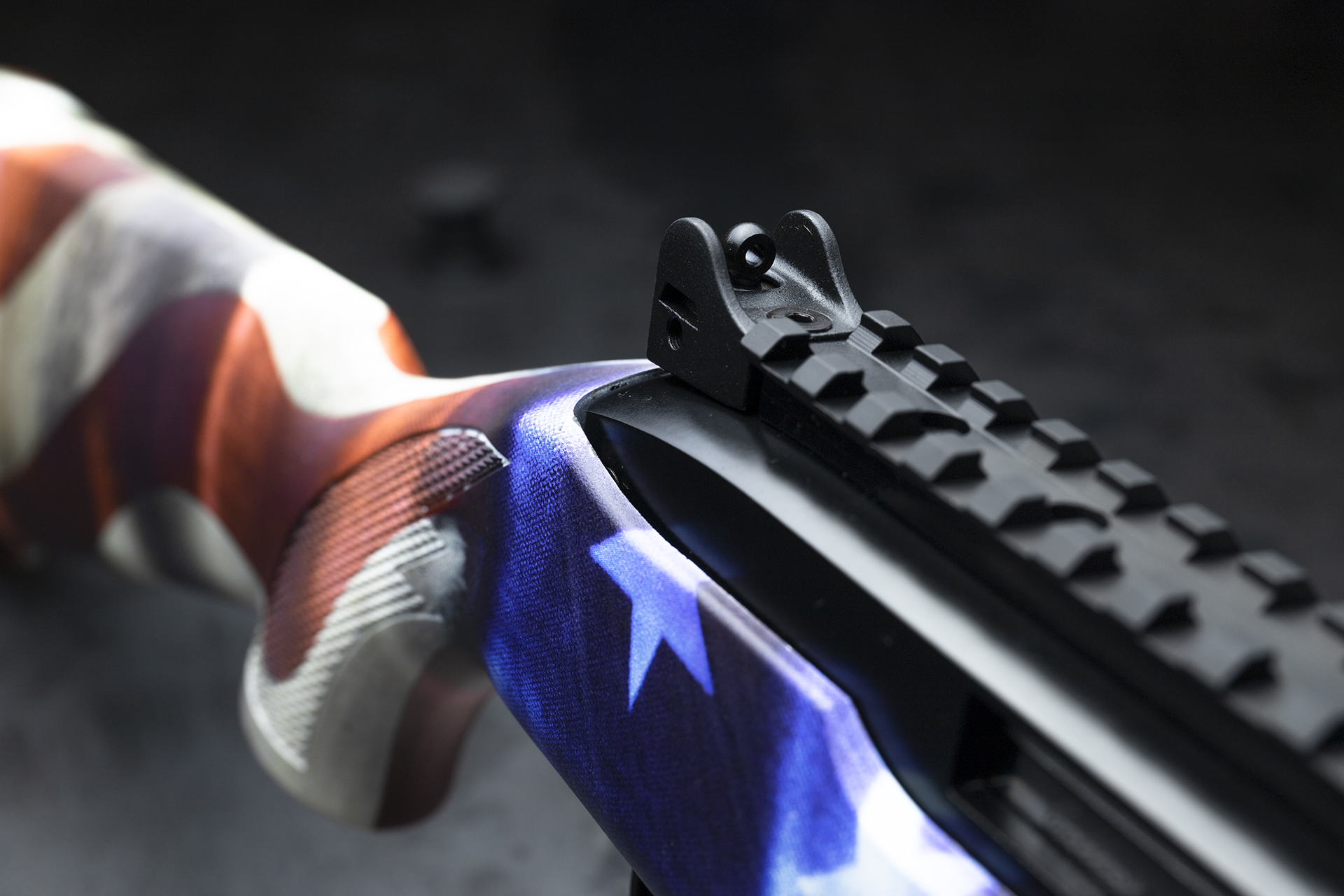 31154_rearsight