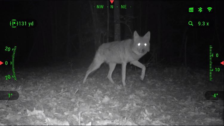 BinoX_nightmode_coyote