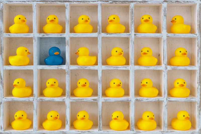 Room for Inclusion: Employers guide on how to onboard your talent inclusively