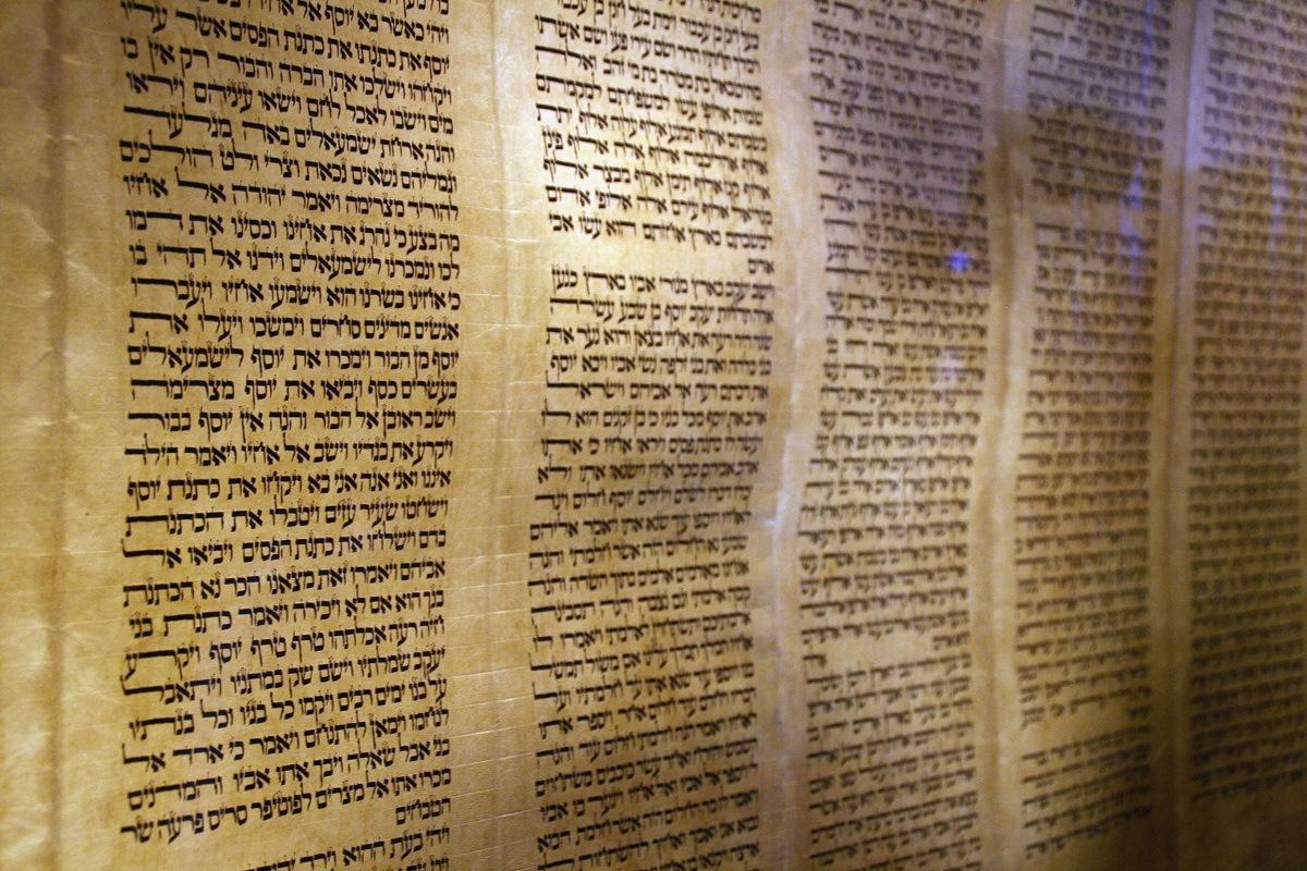 What books are in the torah picture