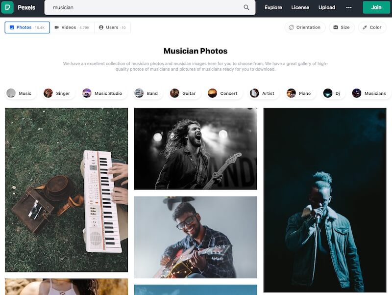 Screenshot of Pexels search result for musician