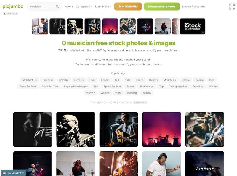 Screenshot of Picjumbo musician search results