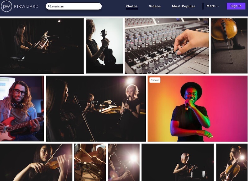 Screenshot of Picwizard musician search results